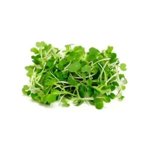 Pak Choi Microgreens 20 grm