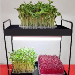 Smiling Greens 2-Tier Grow Racks