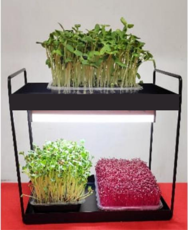 Smiling Greens 2-Tier Grow Racks