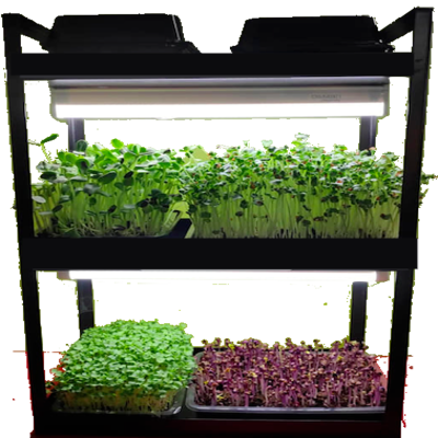 growth_rack_3tier (1)