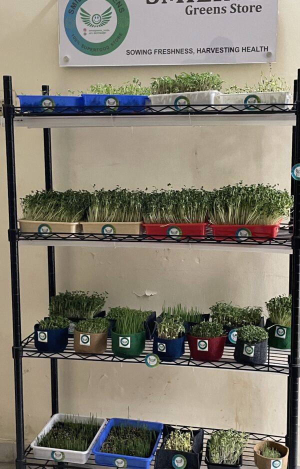 Smiling Greens Commercial Grow Racks