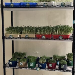 Smiling Greens Commercial Grow Racks