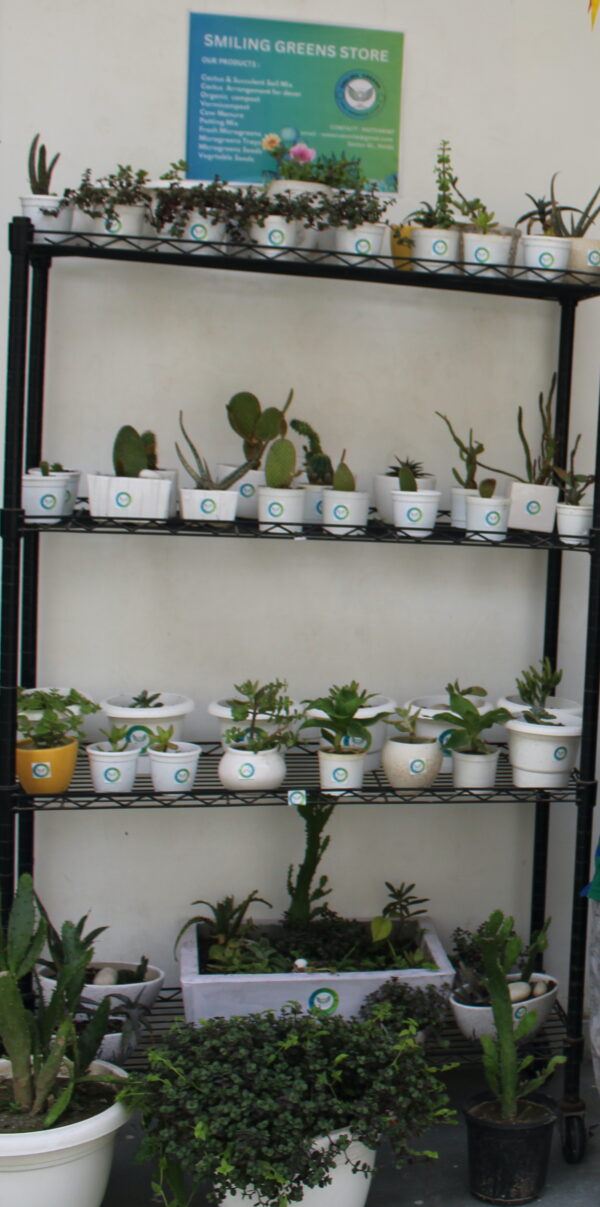 Smiling Greens Commercial Grow Racks - Image 4