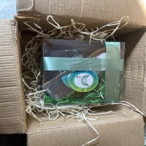 Kids DIY Microgreens Adventure “Superfood Fun for Kids: DIY Microgreens Combo for Little Green Thumbs!”