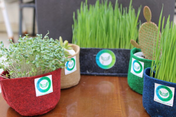 Grow Bags