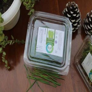 Wheatgrass 25 grams